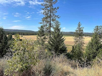0 Washington 231, Springdale, WA 99173