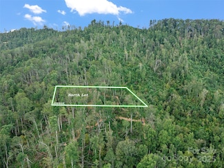 99999 Youngs Gap Rd Unit North Lot, Hoopers Creek, NC 28732