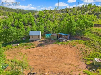 77 Lakeview Cir, Florissant, CO 80816