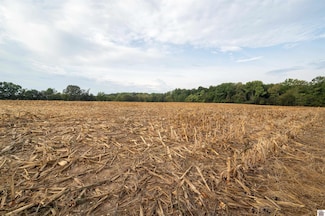 00 State Line Raod E, Hazel, KY 42049