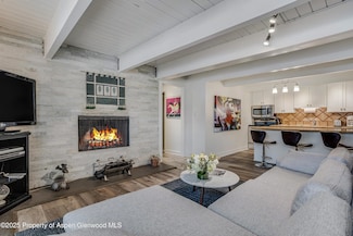 731 E Durant Ave Unit 3, Aspen, CO 81611
