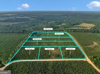 Parcel 13 Carl Rogers Rd, Reynolds, GA 31076