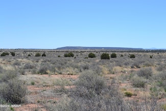 5073 White Antelope Rd, Snowflake, AZ 85937