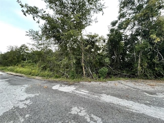 TBD Hickory Track Dr, Silver Springs Shores, FL 34472