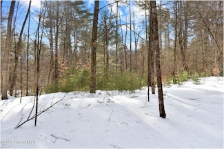 L94 Highview Ln Unit Lot 10, Wevertown, NY 12886