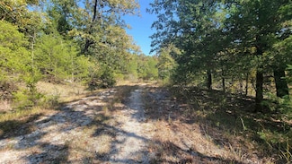L47 B11 Pahokee Trace, Cherokee Village, AR 72529