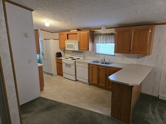 855 W Jefferson St Unit 205, Grand Ledge, MI 48837