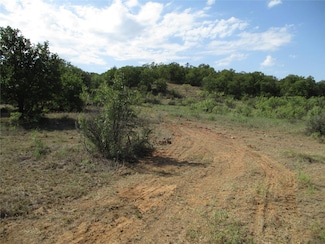 80 ac Texas Highway 16, Loving, TX 76460