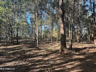 0 East St, Waveland, MS 39576