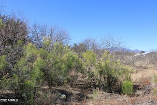 0000 Cloud Dance Ct Unit 33, Sierra Vista, AZ 85650