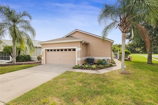 21433 Diamonte Dr, Land O Lakes, FL 34637