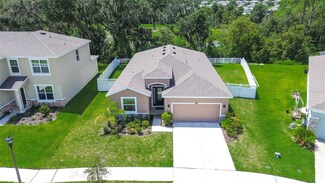 6689 Cobble Bliss St, Zephyrhills, FL 33541