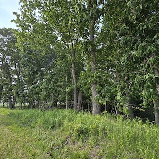 000 Wilson Rd, Kinmundy, IL 62854