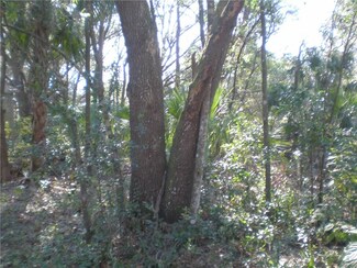 0 Fox Rd Unit G4854334, Astor, FL 32102