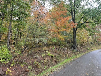0 Horseshoe Bend Rd, Ronceverte, WV 24970