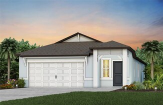 6006 Hidden Branch Dr, Apollo Beach, FL 33572