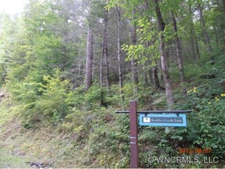 Lot 88 Bear Lake Reserve, Tuckasegee, NC 28783