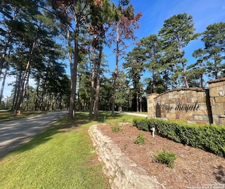 91 Twinstone Cir, Coldspring, TX 77331