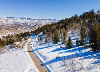 534 Graham Rd, Edwards, CO 81632