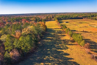 674 Pine Grove Church Rd, Culloden, GA 31016