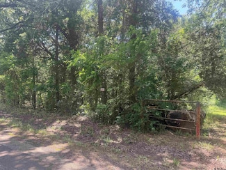 1067 County Road 3331, Cookville, TX 75558