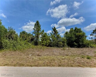 807 Casper Yost St E, Lehigh Acres, FL 33974