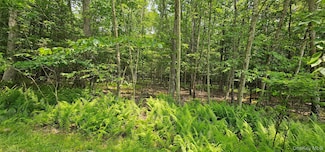 Lot 3 Woods Rd, Barryville, NY 10516