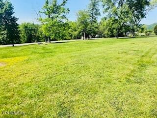 0 Loop (Lots 29 & 30) Rd Unit 1289392, Lafollette, TN 37766