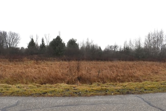 Lot 141 Winchester Way, Butman Township, MI 48624