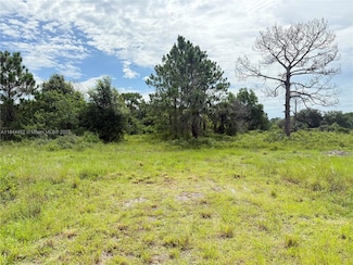 375 N Olivo St, Montura, FL 33440