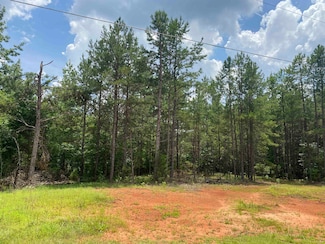 6 Alexander Dr, Savannah, TN 38372