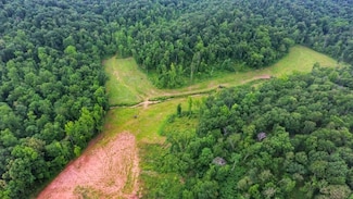0 New Lawrenceburg Hwy, Mount Pleasant, TN 38474