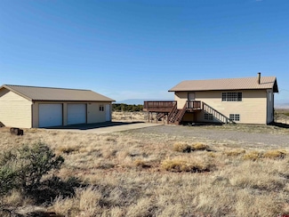 19001 Dave Wood Rd, Montrose, CO 81403