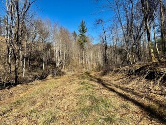 Tbd S Highway 421 Unit LotWP001, Mountain City, TN 37683