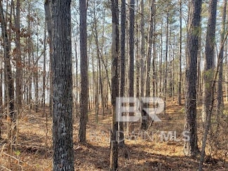 0 Stillwater Ln Unit 12 385458, Double Springs, AL 35553