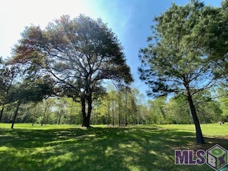 1558 Tommy Whitaker Rd, Saint Francisville, LA 70775