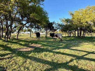 8364 Fitzhugh Rd, Dripping Springs, TX 78620