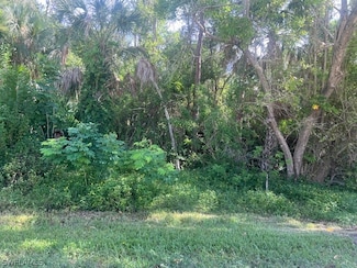xxx Andrews Ave Unit 71, Naples, FL 34112