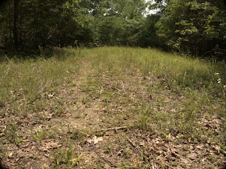 0 Cherry Farm Ln, Celina, TN 38551