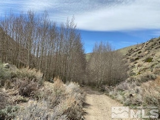 TBD Minnehaha Canyon(120), Wellington, NV 89444