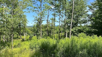 33 Bay View Dr, Greenville, ME 04441