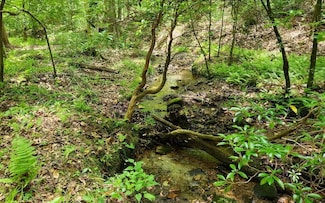 Lot 3 Autumn Ln, Blairsville, GA 30512