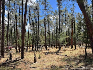 0 Damascus Rd, Timberon, NM 88350