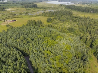 0 Grand Ridge Rd Unit Lot 17 293719354, Toutle, WA 98649