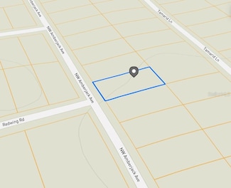 LOT 53 NW Amberjack Ave, Dunnellon, FL 34431