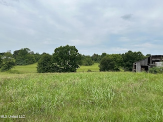 Tract 2 Sycamore Rd, Coldwater, MS 38618