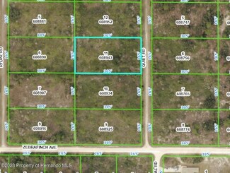 18455 Quiet Rd, Weeki Wachee, FL 34614