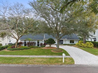 13803 Lake Village Place, Tampa, FL 33618