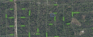 305 Dolly Ln, Lake Placid, FL 33852