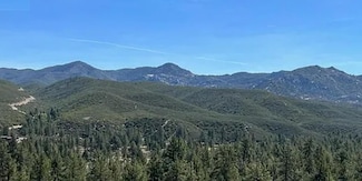 0 Pipe Creek Rd Unit 219132537DA, Garner Valley, CA 92561